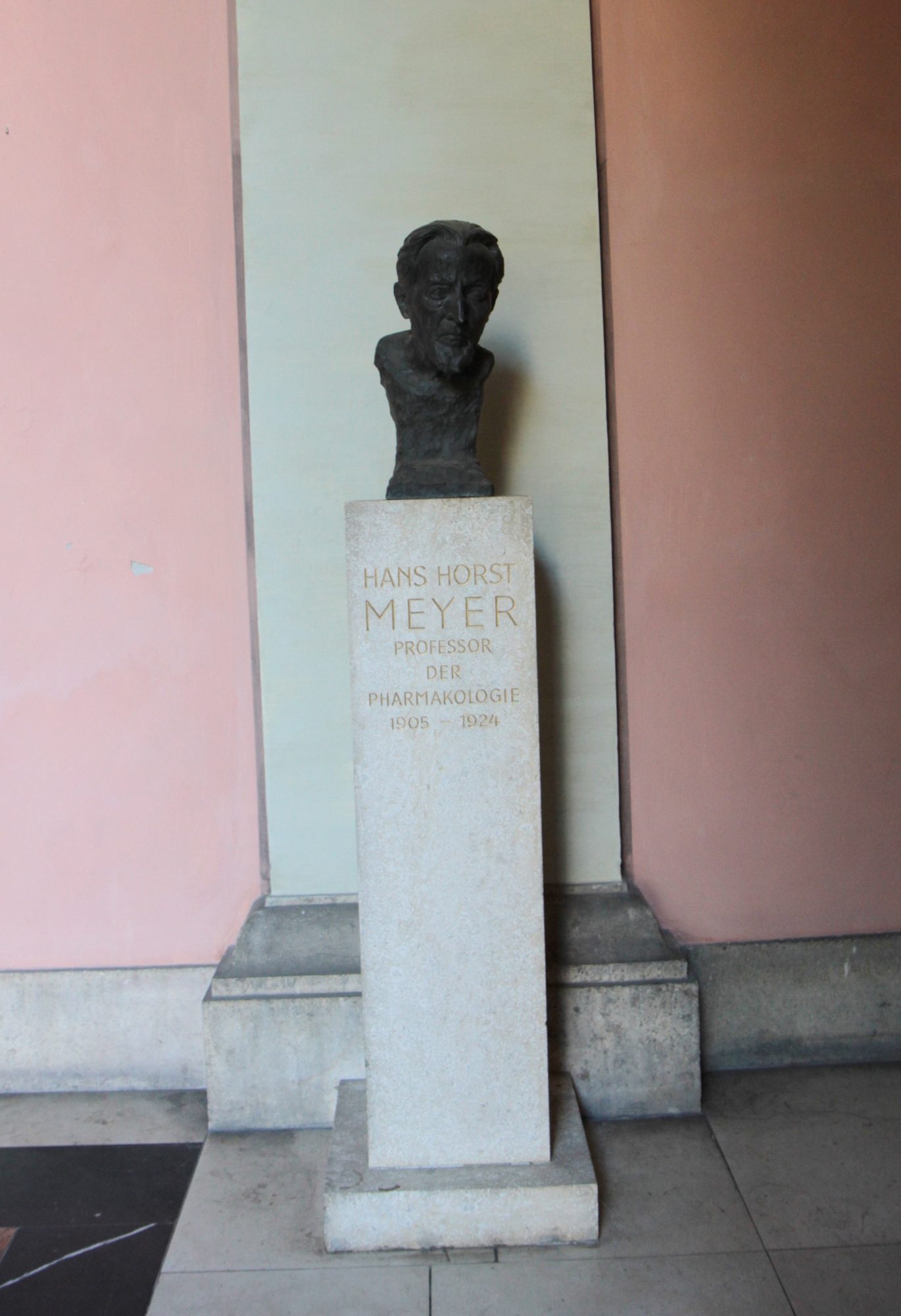 Hans%20Horst%20Meyer%27s%20bust%2C%20Medical%20monuments%2C%20UNI%20Vienna%20-%2001.jpg